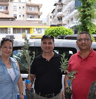 buyuksehirden-ureticiye-zeytin-fidani-destegi.jpg