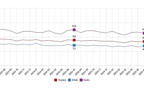 isgucu-istatistikleri-temmuz-2025.jpg