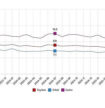 isgucu-istatistikleri-temmuz-2025.jpg
