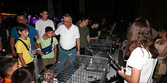 Kemer’de sokak hayvanları yararına ikinci konser
