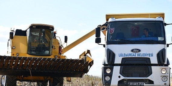 Lüleburgaz Belediyesi’nden ayçiçeği hasadı