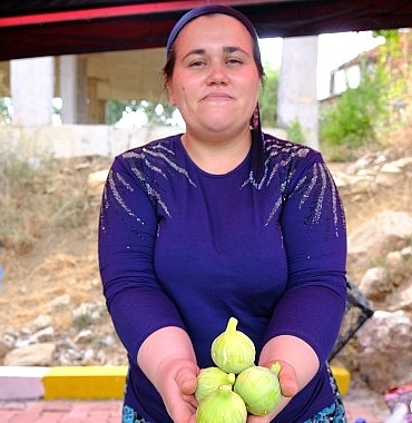 menemende-bozalan-incir-festivali-heyecani-yasanacak.jpg