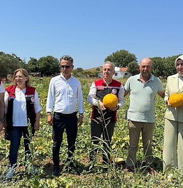 meshur-cesme-kavununda-hasat-zamani.jpg