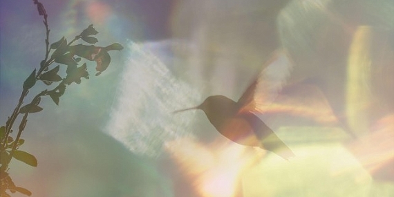Yapı Kredi bomontiada TV+ ile Açık Havada Sinema’da bu hafta: “Every Little Thing”