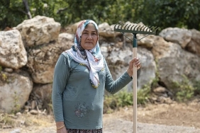 yenisehir-belediyesinin-destegiyle-safran-ureticisi-sayisi-artiyor.jpg