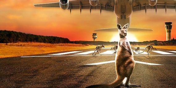 10 Bölümlük Seri ‘Inside: Melbourne Havalimanı’, 22 Eylül Pazartesi 22.00’de National Geographic Ekranlarında Başlıyor!