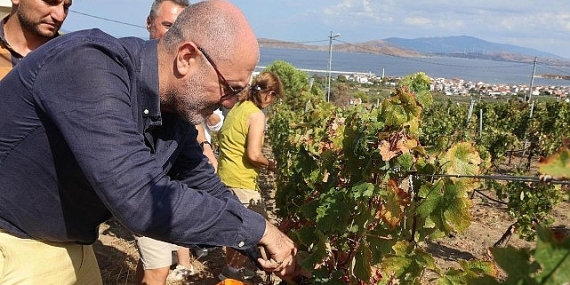 6–7 Eylül’de Bir Başkadır Avşa Etkinliği’nin Programı Açıklandı