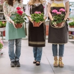 Antalya çiçekçi (11)