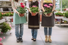 Antalya çiçekçi (11)