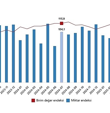 dis-ticaret-endeksleri-temmuz-2025.jpg