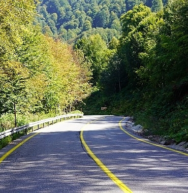 gastroafyon-rekora-doymuyor.jpg