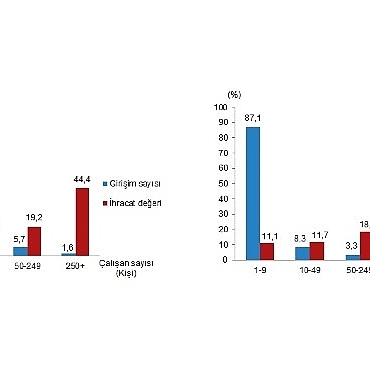 girisim-ozelliklerine-gore-dis-ticaret-istatistikleri-2024.jpg