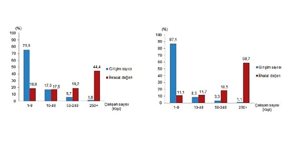 Girişim Özelliklerine Göre Dış Ticaret İstatistikleri, 2024