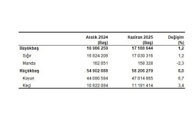 hayvancilik-istatistikleri-haziran-2025.jpg