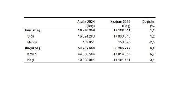 Hayvancılık İstatistikleri, Haziran 2025