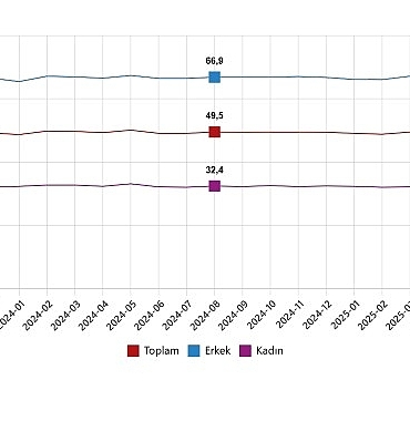 isgucu-istatistikleri-agustos-2025.jpg