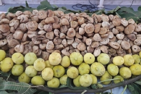 kuru-incirin-ihracat-yolculugu-15-ekimde-baslayacak.jpg