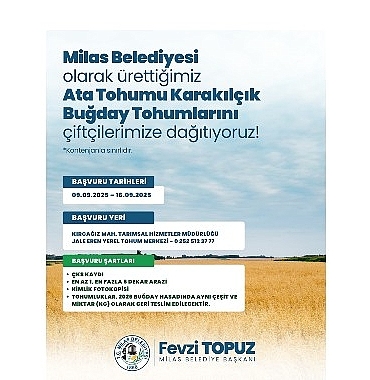 milas-belediyesinden-ureticilere-karakilcik-bugday-tohumu-destegi.jpg