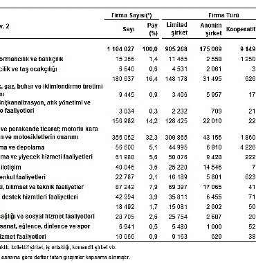 sektor-bilancolari-2024.jpg