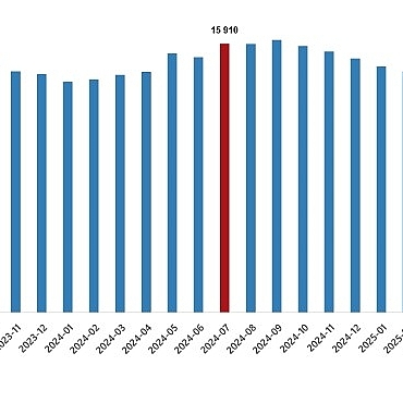 ucretli-calisan-istatistikleri-temmuz-2025.jpg