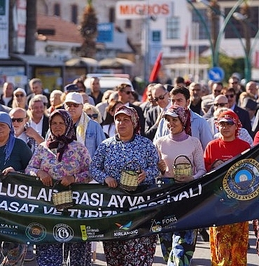20-ayvalik-uluslararasi-zeytin-hasat-ve-turizm-festivali-basliyor.jpg