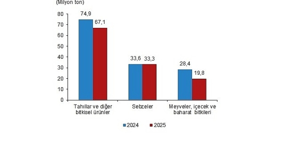 Bitkisel Üretim 2.Tahmini, 2025