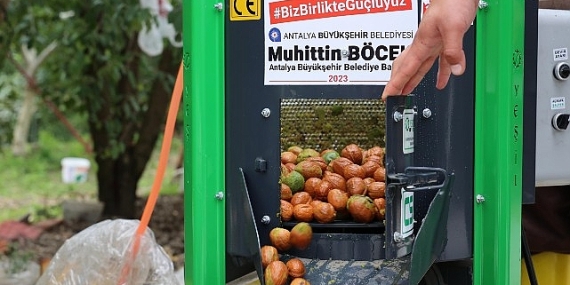 Büyükşehir’in ceviz soyma makineleri üreticilerin hizmetinde