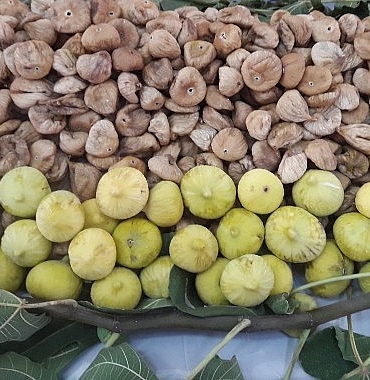 turk-kuru-incir-ihracatcilarindan-avrupa-birligine-kuru-incirde-ev-odevimizi-yapiyoruz-mesaji.jpg