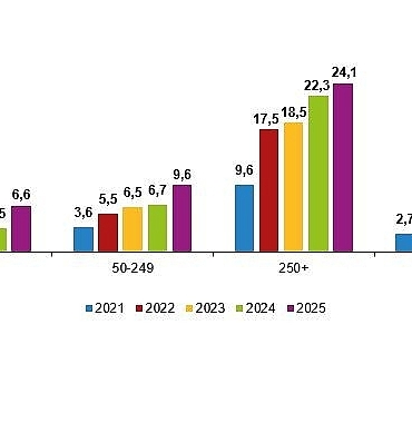yapay-zeka-istatistikleri-2025.jpg