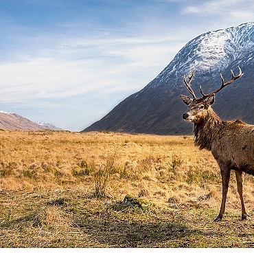 6-bolumluk-seri-avrupanin-vahsi-harikalari-15-kasimdan-itibaren-cumartesi-gunleri-20-00de-iki-bolum-art-arda-national-geographic-wild-ekranlarinda.jpg