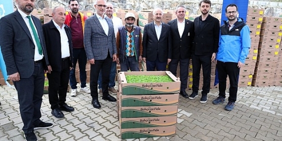 Gebzeli çiftçiye 500 bin sebze fidesi