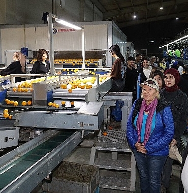 isinizi-askla-yapin-durust-olun-basari-pesinden-gelecek.jpg