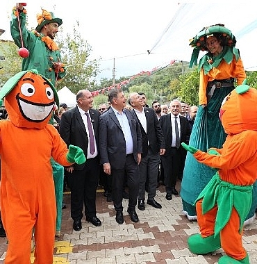 menderes-mandalina-festivali-ile-cosacak.jpg