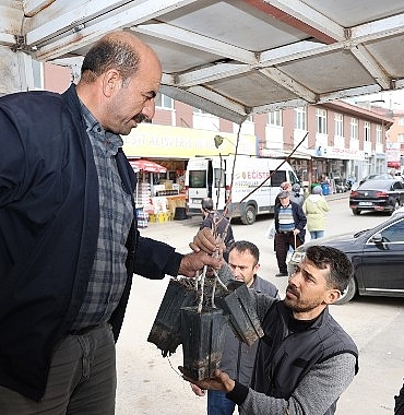 baskan-altay-mikro-klima-etkisine-sahip-bolgelerimizde-kurakliga-dayanikli-yapisiyla-antep-fistigini-yayginlastiriyoruz.jpg