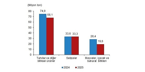 Bitkisel Üretim İstatistikleri, 2025