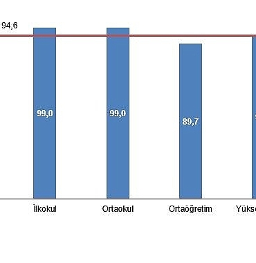 egitim-harcamalari-istatistikleri-2024.jpg