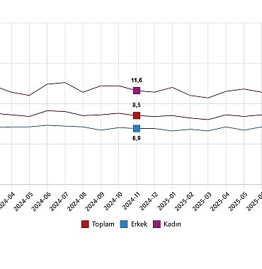 isgucu-istatistikleri-kasim-2025.jpg