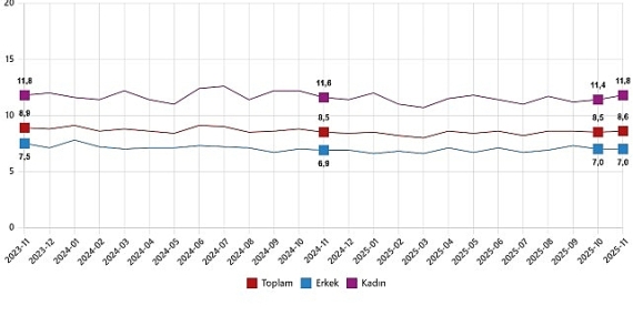 İşgücü İstatistikleri, Kasım 2025