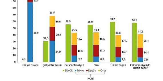 Küçük ve Orta Büyüklükteki Girişim İstatistikleri, 2024