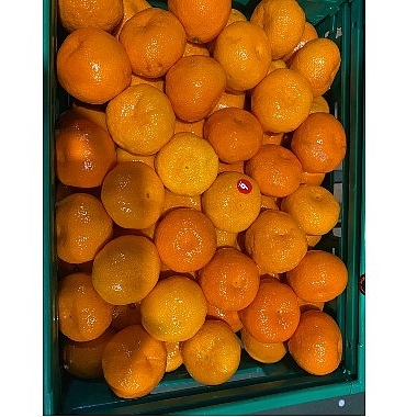 mandalina-ihracati-tarih-yaziyor.jpg