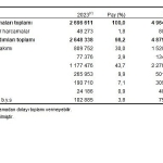 sosyal-koruma-istatistikleri-2024.jpg