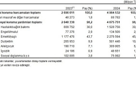 sosyal-koruma-istatistikleri-2024.jpg