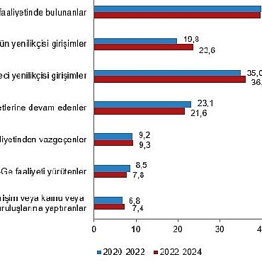 yenilik-arastirmasi-2024.jpg