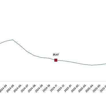 yurt-ici-uretici-fiyat-endeksi-kasim-2025.jpg