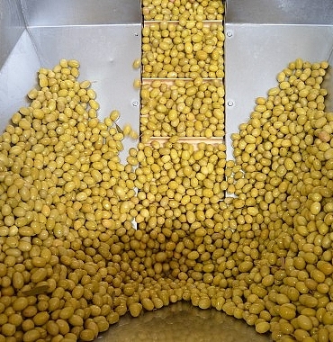 zeytin-ve-zeytinyagi-sektorunde-gucler-urge-projesinde-birlestirilecek.jpg