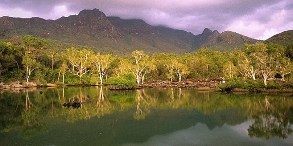 ‘Avustralya’nın Vahşi Ormanları’,   10 Ocak Cumartesi 20.00’de   National Geographic WILD Ekranlarında!