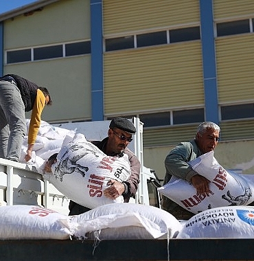 buyuksehirden-2025-yilinda-hayvanciliga-503-bin-625-kg-yem-destegi.jpg