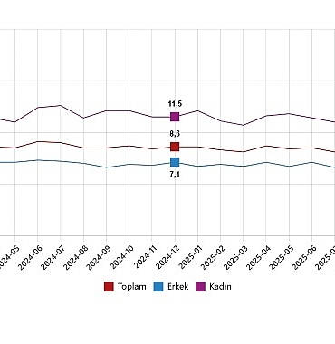 isgucu-istatistikleri-aralik-2025.jpg