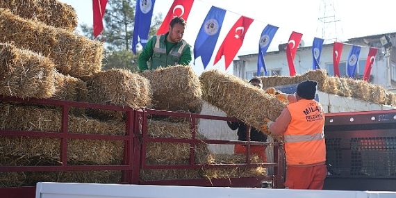 Milas Belediyesi Üreticilere Yönelik Desteklerini Sürdürüyor
