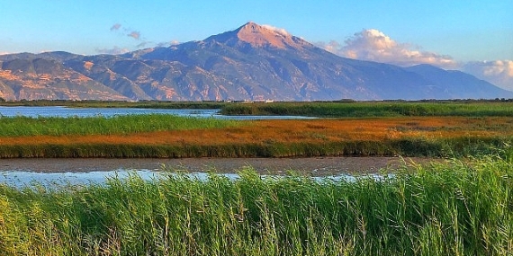 Milleyha Doğa Gözlem Merkezi, 13 Şubat’ta Üç Gün Sürecek “Doğa Buluşması” ile Kapılarını Açıyor.